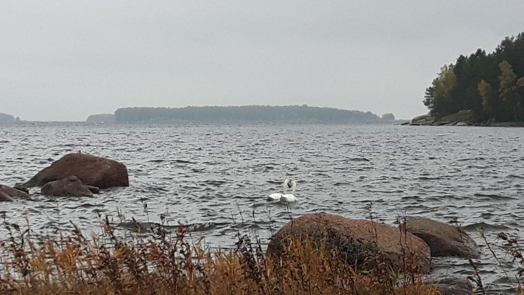 Salaojituksen Tukisäätiön Itämeri-sitoumukselle kahden vuoden jatko