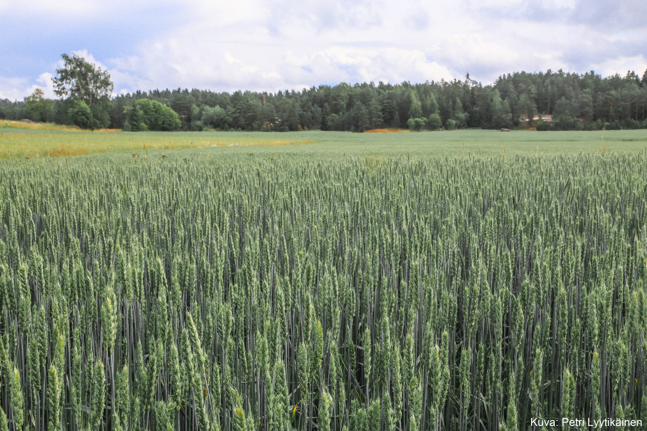 Kestävän maatalouden puolesta jo 40 vuotta