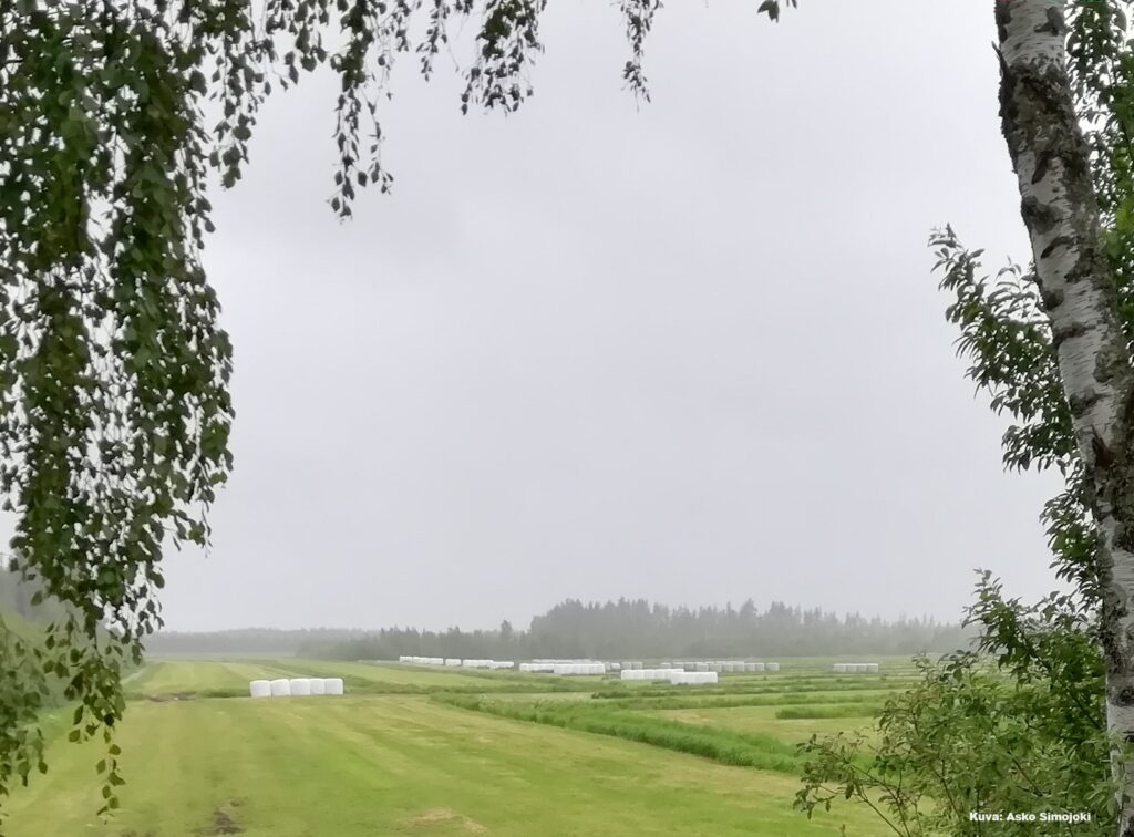 Tervetuloa Orgaanisten peltomaiden kestävä vesienhallinta  -seminaariin 23.10.2024 Pörssitalolle Helsinkiin