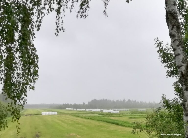 Orgaanisten peltomaiden kestävä vesienhallinta – yhteenveto ja seminaarin esitykset